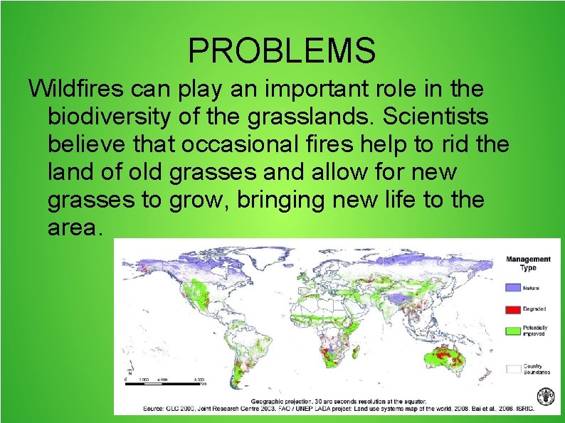 PROBLEMS Wildfires can play an important role in the biodiversity of the grasslands. Scientists