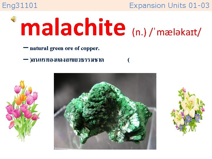 Eng 31101 Expansion Units 01 -03 malachite (n. ) /ˈmæləkaɪt/ – natural green ore