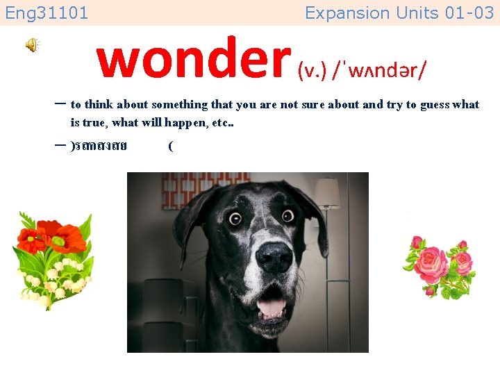 Eng 31101 wonder Expansion Units 01 -03 (v. ) /ˈwʌndər/ – to think about