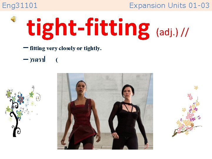 Eng 31101 Expansion Units 01 -03 tight-fitting (adj. ) // – fitting very closely