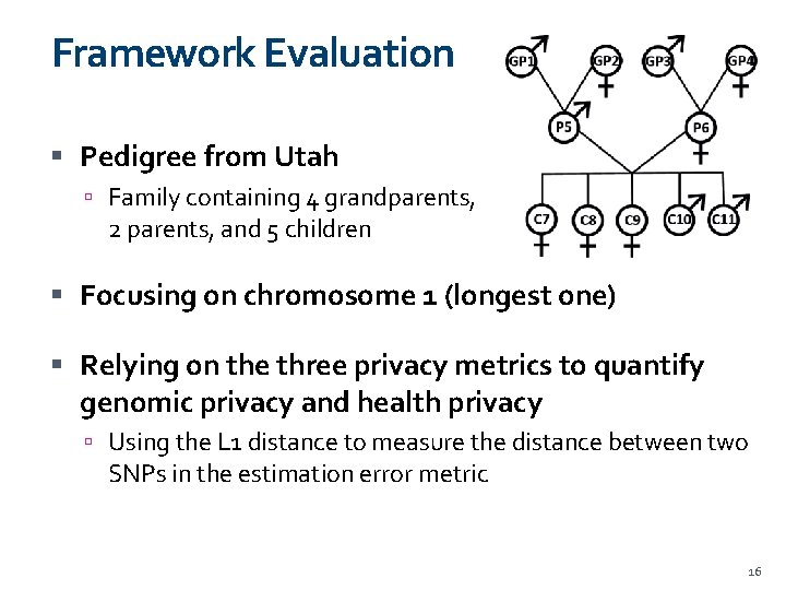 Framework Evaluation Pedigree from Utah Family containing 4 grandparents, 2 parents, and 5 children