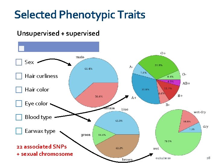 Selected Phenotypic Traits Unsupervised + supervised Supervised only Sex Skin color Hair curliness Freckling