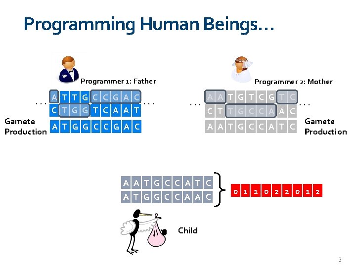 Programming Human Beings… Programmer 1: Father . . . A T T G C
