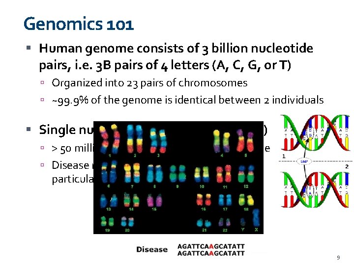 Genomics 101 Human genome consists of 3 billion nucleotide pairs, i. e. 3 B