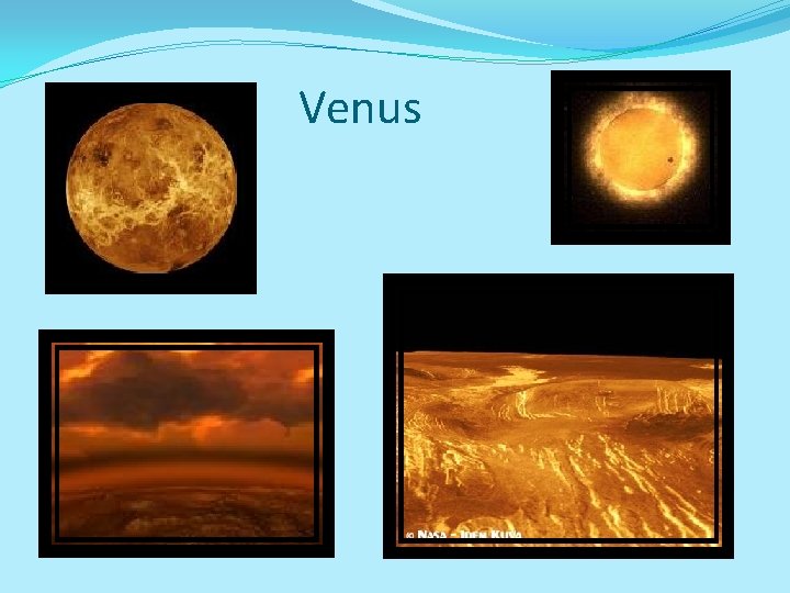 Venus 