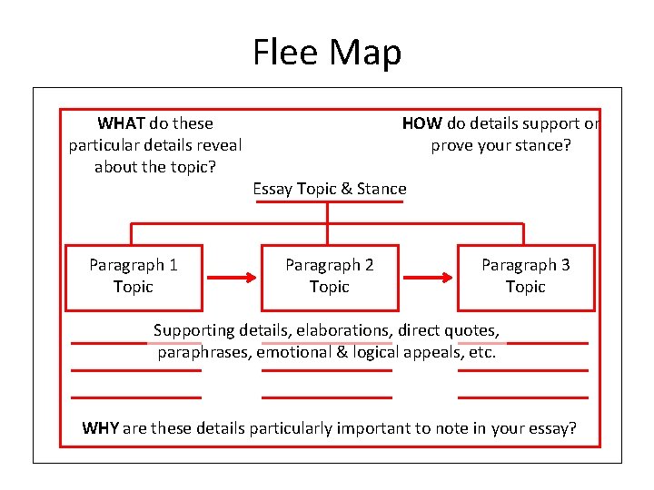 Flee Map WHAT do these particular details reveal about the topic? Paragraph 1 Topic Flee Map WHAT do these particular details reveal about the topic? Paragraph 1 Topic