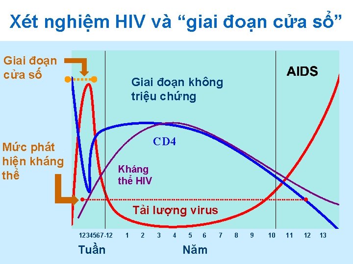 Xét nghiệm HIV và “giai đoạn cửa sổ” Giai đoạn cửa số Giai đoạn