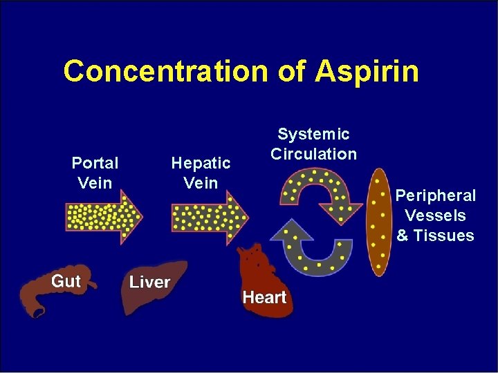 Concentration of Aspirin Portal Vein Hepatic Vein Systemic Circulation Peripheral Vessels & Tissues 