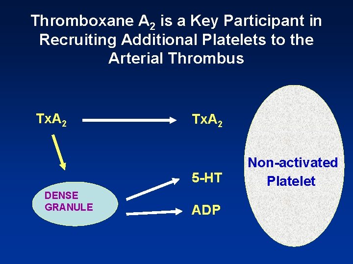 Thromboxane A 2 is a Key Participant in Recruiting Additional Platelets to the Arterial