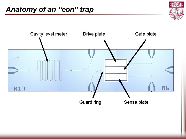 Anatomy of an “eon” trap Cavity level meter Drive plate Guard ring Gate plate