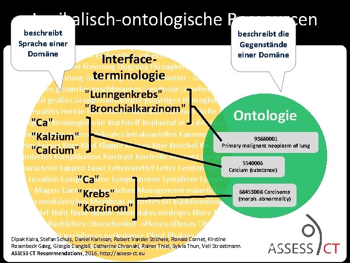 Lexikalisch-ontologische Ressourcen beschreibt die Sprache einer Gegenstände Domäne Erweiterung erworbenes Escherichia coli externes Extrakt