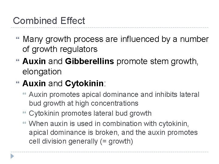 Combined Effect Many growth process are influenced by a number of growth regulators Auxin