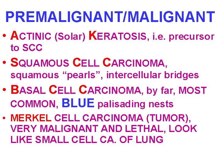 PREMALIGNANT/MALIGNANT • ACTINIC (Solar) KERATOSIS, i. e. precursor to SCC • SQUAMOUS CELL CARCINOMA,