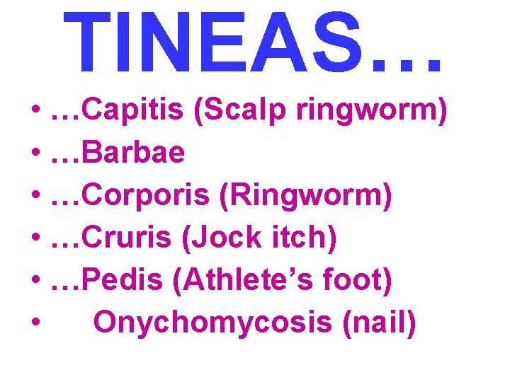 TINEAS… • …Capitis (Scalp ringworm) • …Barbae • …Corporis (Ringworm) • …Cruris (Jock itch)