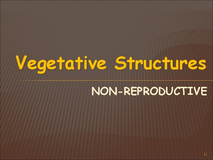 Vegetative Structures NON-REPRODUCTIVE 11 
