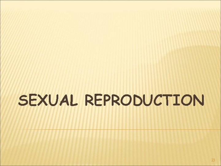 SEXUAL REPRODUCTION 23 