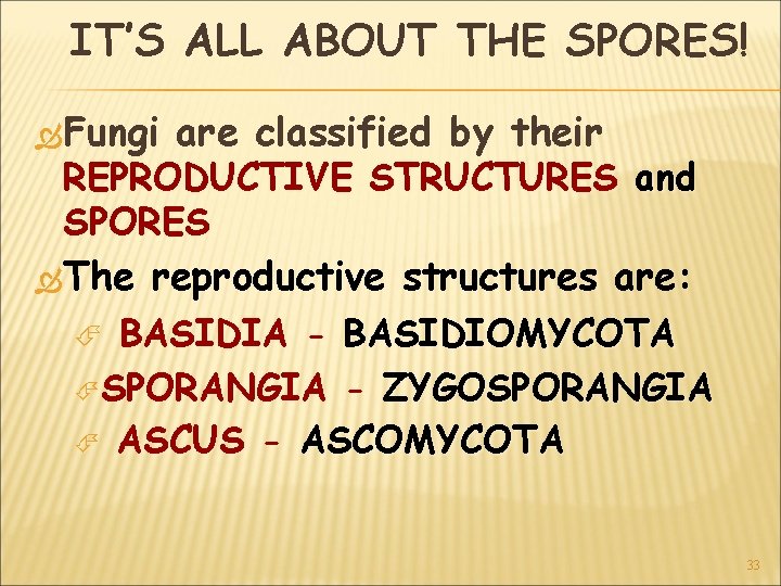 IT’S ALL ABOUT THE SPORES! Fungi are classified by their REPRODUCTIVE STRUCTURES and SPORES