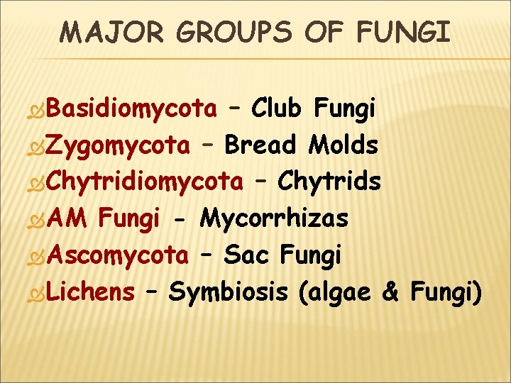 MAJOR GROUPS OF FUNGI Basidiomycota – Club Fungi Zygomycota – Bread Molds Chytridiomycota –