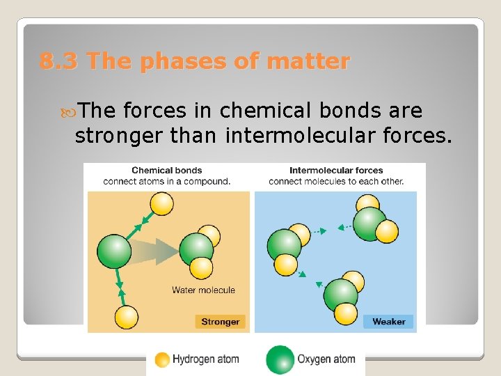 8. 3 The phases of matter The forces in chemical bonds are stronger than