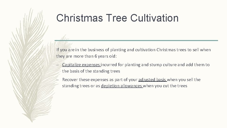 Christmas Tree Cultivation If you are in the business of planting and cultivation Christmas