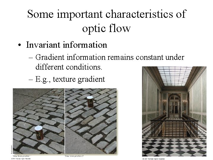 Some important characteristics of optic flow • Invariant information – Gradient information remains constant