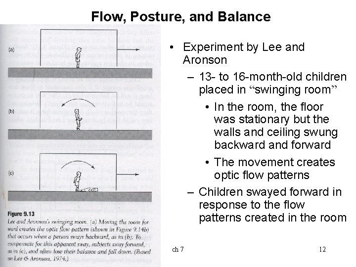 Flow, Posture, and Balance • Experiment by Lee and Aronson – 13 - to