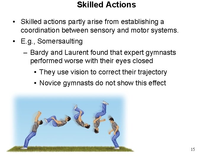 Skilled Actions • Skilled actions partly arise from establishing a coordination between sensory and