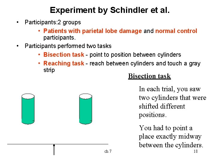Experiment by Schindler et al. • Participants: 2 groups • Patients with parietal lobe