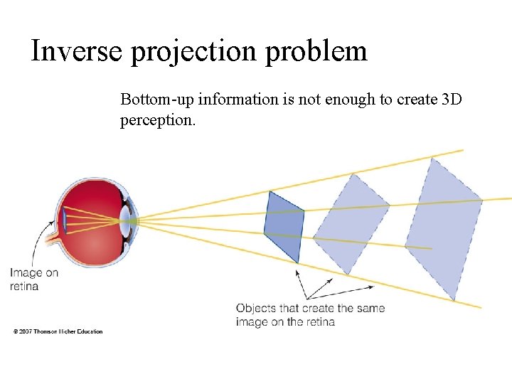 Inverse projection problem Bottom-up information is not enough to create 3 D perception. 