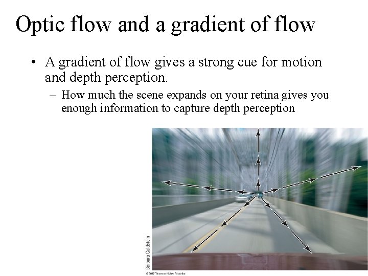 Optic flow and a gradient of flow • A gradient of flow gives a