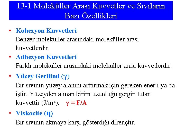 13 -1 Moleküller Arası Kuvvetler ve Sıvıların Bazı Özellikleri • Kohezyon Kuvvetleri Benzer moleküller