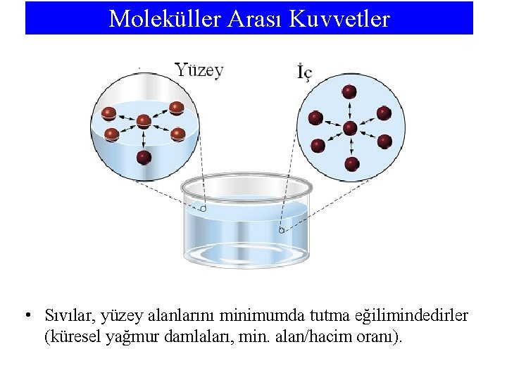 Moleküller Arası Kuvvetler • Sıvılar, yüzey alanlarını minimumda tutma eğilimindedirler (küresel yağmur damlaları, min.