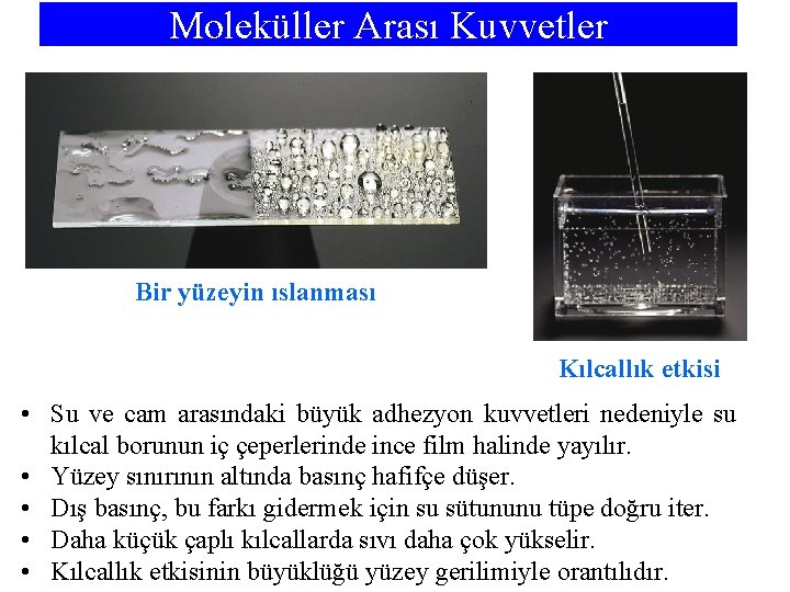 Moleküller Arası Kuvvetler Bir yüzeyin ıslanması Kılcallık etkisi • Su ve cam arasındaki büyük