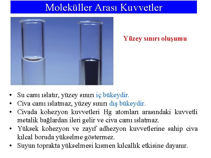 Moleküller Arası Kuvvetler Yüzey sınırı oluşumu • Su camı ıslatır, yüzey sınırı iç bükeydir.