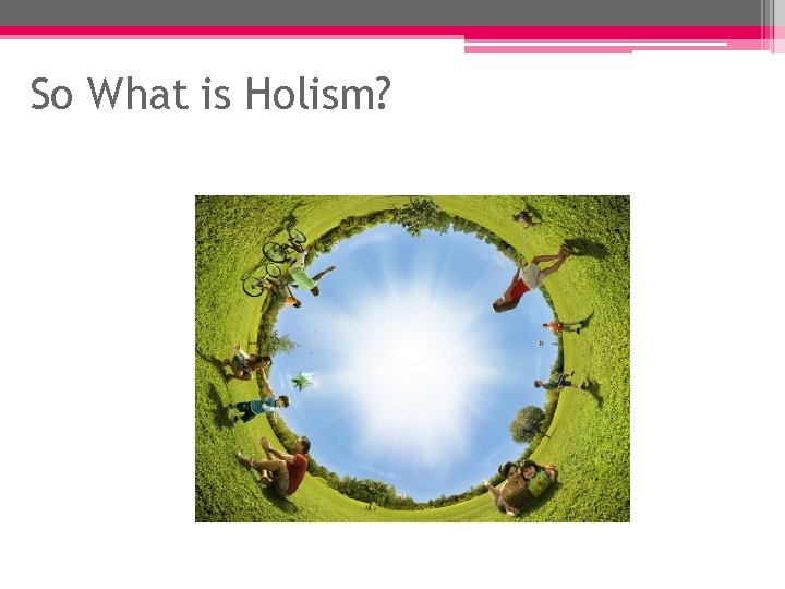 So What is Holism? So What is Holism?
