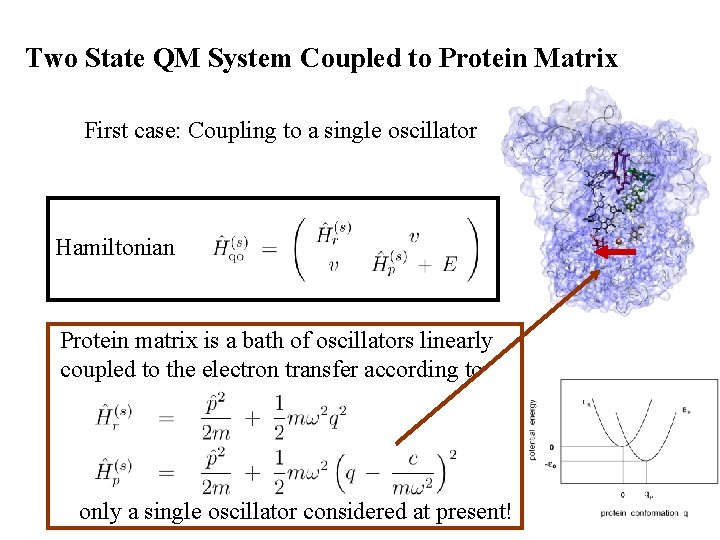Two State QM System Coupled to Protein Matrix First case: Coupling to a single