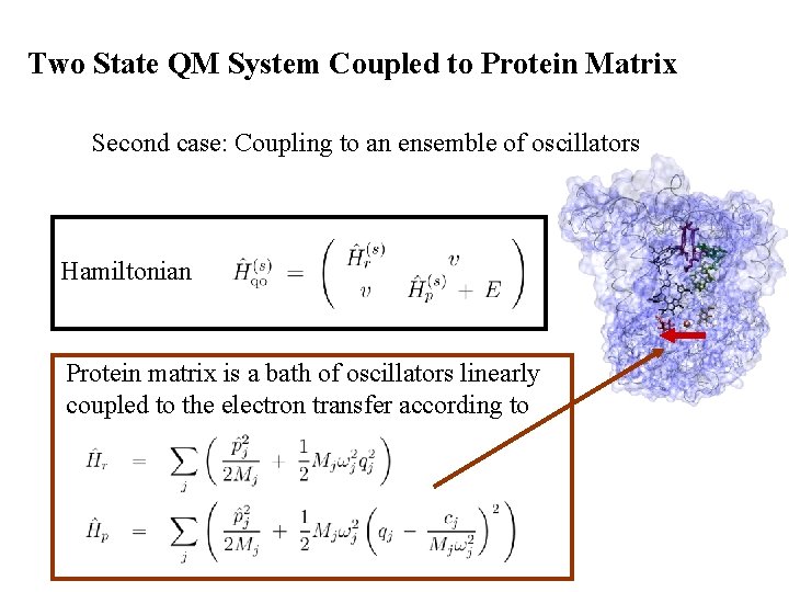 Two State QM System Coupled to Protein Matrix Second case: Coupling to an ensemble