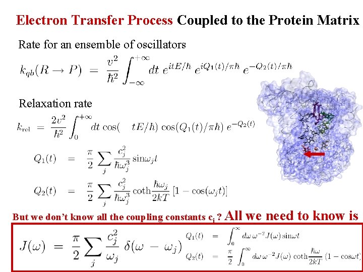 Electron Transfer Process Coupled to the Protein Matrix Rate for an ensemble of oscillators