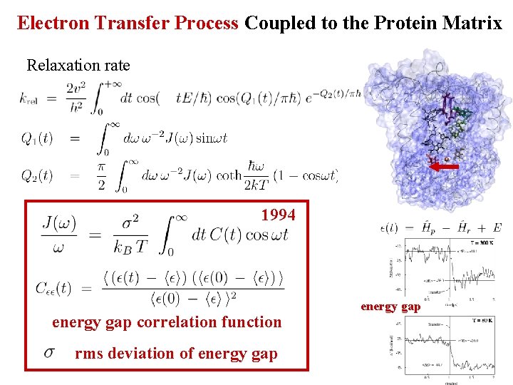 Electron Transfer Process Coupled to the Protein Matrix Relaxation rate 1994 energy gap correlation