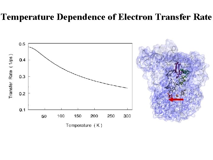 Temperature Dependence of Electron Transfer Rate 