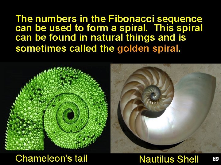 The numbers in the Fibonacci sequence can be used to form a spiral. This