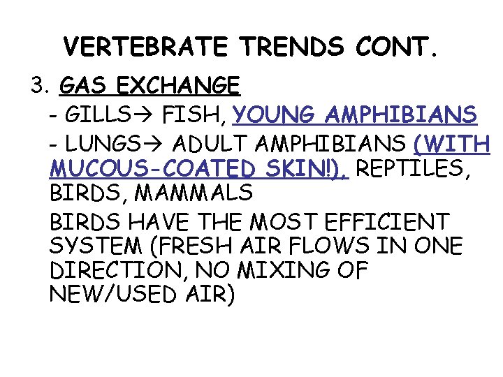 VERTEBRATE TRENDS CONT. 3. GAS EXCHANGE - GILLS FISH, YOUNG AMPHIBIANS - LUNGS ADULT