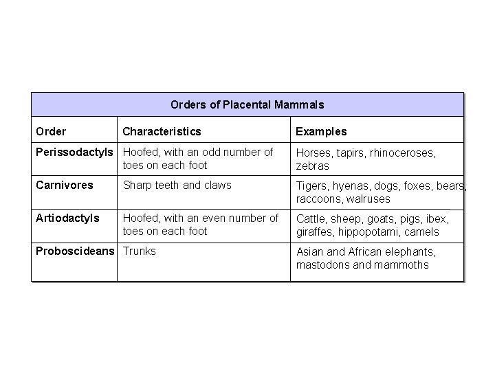 Section 32 -2 Orders of Placental Mammals Order Characteristics Examples Perissodactyls Hoofed, with an
