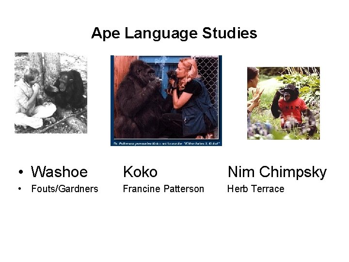 Ape Language Studies • Washoe Koko Nim Chimpsky • Fouts/Gardners Francine Patterson Herb Terrace