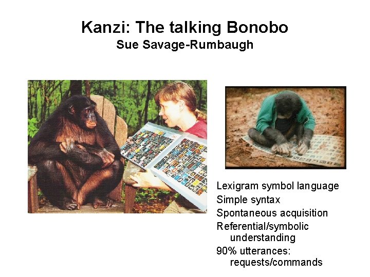 Kanzi: The talking Bonobo Sue Savage-Rumbaugh Lexigram symbol language Simple syntax Spontaneous acquisition Referential/symbolic