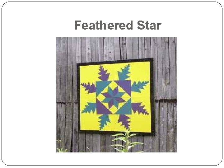 Feathered Star 