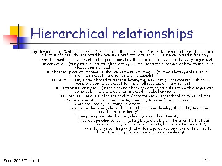Hierarchical relationships dog, domestic dog, Canis familiaris -- (a member of the genus Canis