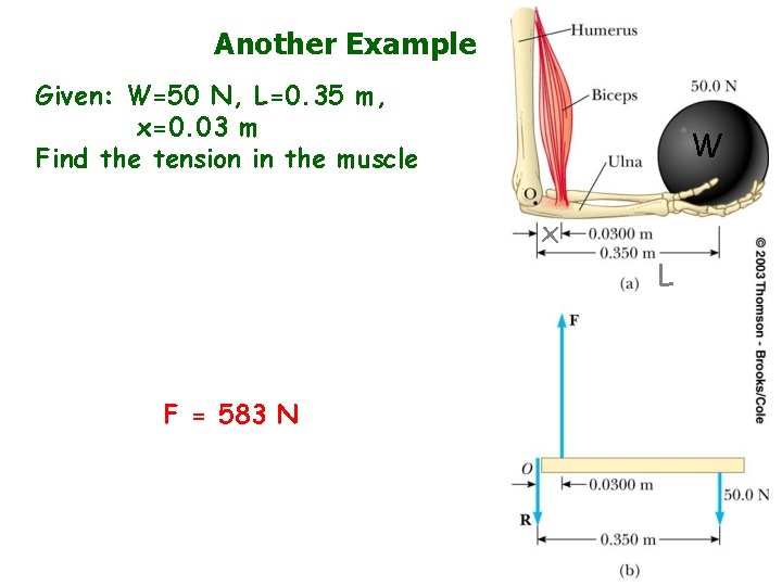 Another Example Given: W=50 N, L=0. 35 m, x=0. 03 m Find the tension