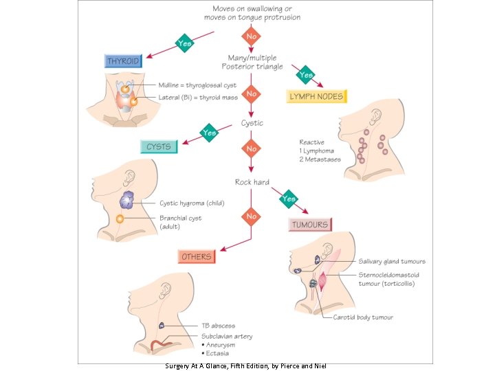 Surgery At A Glance, Fifth Edition, by Pierce and Niel 