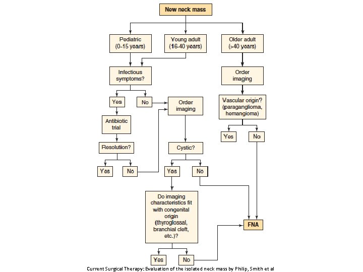 Current Surgical Therapy: Evaluation of the isolated neck mass by Philip, Smith et al